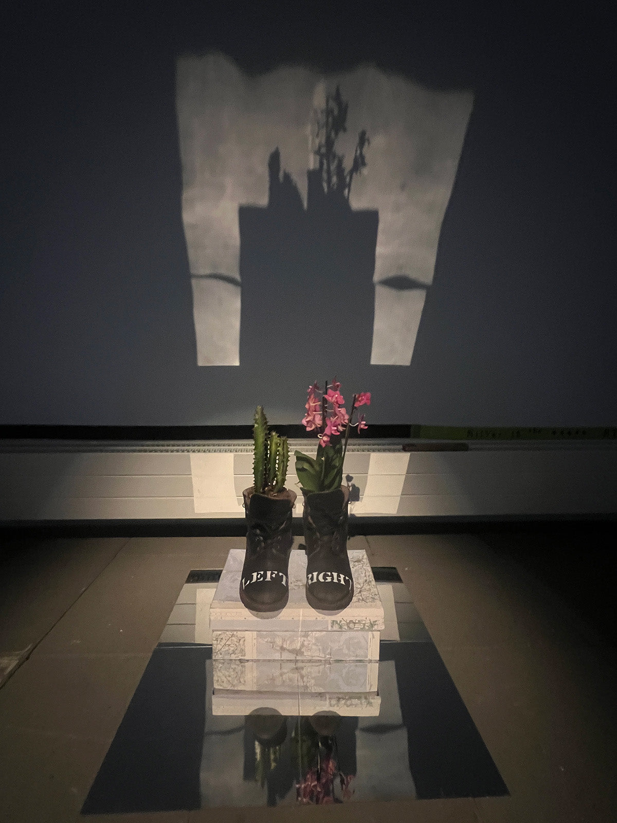 Boot-ed series-amir zainorin