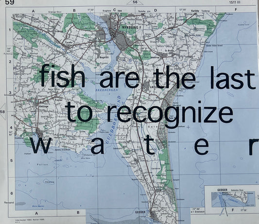 fish are last to recognize water, 2022