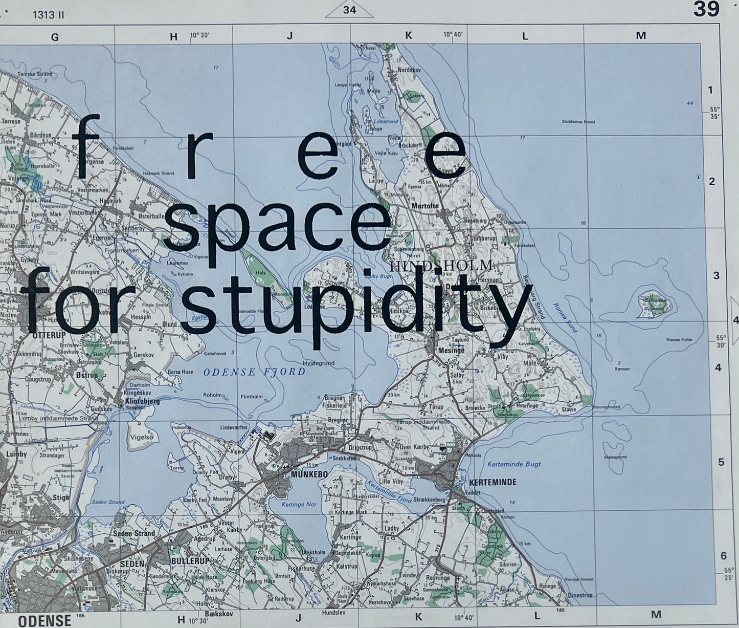 free space for stupidity, 2022