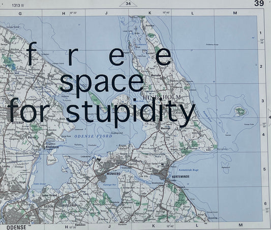 free space for stupidity, 2022